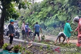 Terkini bencana alam Tapanuli Utara : Akses Taput-Tapteng masih sebatas KM 17 Adiankoting