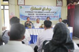 DPRD Kalsel dorong pengembangan kelapa genjah di Tanah Bumbu