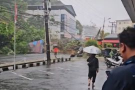 PLN UP3 Sibolga gerak cepat amankan jaringan akibat cuaca ekstrem