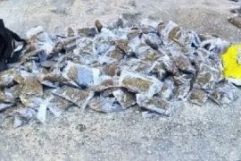 Distrik Waris dan Arso Timur daerah rawan penyelundupan ganja asal PNG