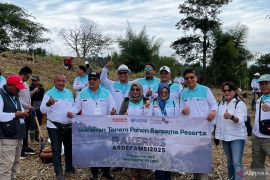 Asdepamsi tanam 100 pohon di kawasan Puncak Bogor jaga ekosistem air bersih