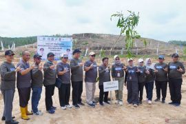 Pemprov Kalsel terapkan program tanam RBE seluas 100 hektare di Cempaka