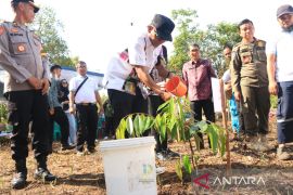 Bupati Belitung ajak satu rumah tanam satu pohon