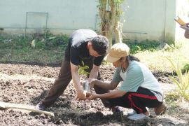 Imigrasi Labuan Bajo-SLBN Komodo menanam pohon lestarikan lingkungan