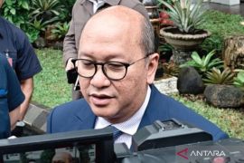 Danantara masih negosiasi pembelian saham Lotte di Cilegon