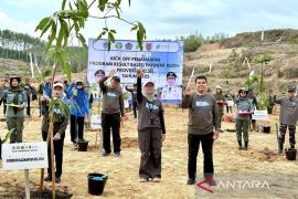 South Kalimantan restores 250 hectares under REDD+ funding drive