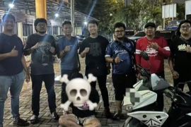 Polisi tangkap sindikat pencuri sepeda motor di Jakut