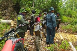 Kemenhut kantongi nama pemilik kebun sawit ilegal di TN Tesso Nilo