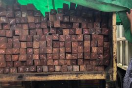 Pengangkut ratusan kayu ulin ilegal ditangkap di Kukar