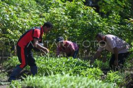 Menata kembali hukuman sosial