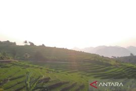 Legislator Jabar mengajak warga jaga kelestarian lereng Gunung Ciremai