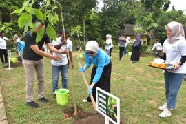 Peserta Apeksi tanam pohon atasi perubahan iklim