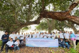 PLN UP3 Sofifi  tanam mangrove dan bersih pantai peringati HMPI