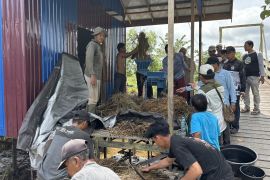 Petani Desa Tinggiran II Luar ikuti pelatihan peningkatan kapasitas