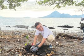 PLN  tanam mangrove dan bersih pantai di Somahode