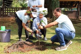 Simbol ekologis, Menteri LH tanam 257 bibit tanaman endemik di TMII
