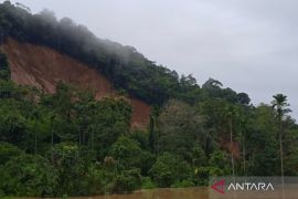 BPBD: Enam orang tertimbun longsor, satu orang selamat di Tinggam Talamau