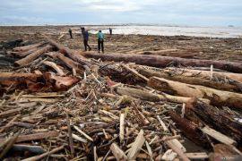 Sampah kayu gelondongan penuhi pantai di Padang usai banjir bandang