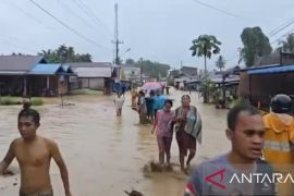 Banjir Bandang dan Longsor Tapanuli Selatan sudah renggut 32 nyawa, Batangtoru paling parah