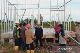 Bupati tinjau perkembangan proyek transmigrasi di Sukamara