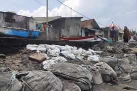 Kawasan sempadan bebas abrasi di Mataram mulai ditata