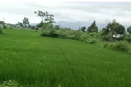 Pemilik lahan KP2B di Mataram bakal dapat insentif