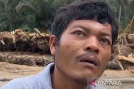 Terbawa arus banjir bandang 500 meter warga Aek Garoga selamat bersama batang kayu