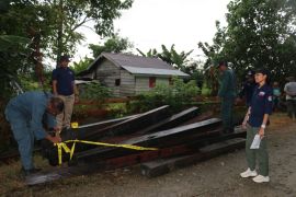 Kemenhut bongkar penyelundupan kayu ilegal via tol laut di Maluku