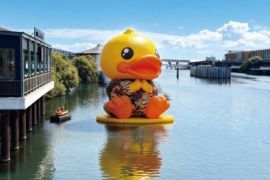 "B.Duck 20th Playful Carnival" hadir di Indonesia