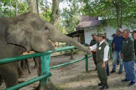 Minister urges better forest management following Sumatra floods