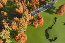 Potret keindahan hutan basah dengan dedaunan berwarna di Hangzhou