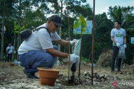 Warga dan PLN tanam 1.500 pohon di Wisata Meranti