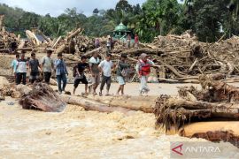 Hoaks! Video harimau terbawa arus banjir Sibolga, Sumatera