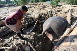 Kemenag data madrasah hingga rumah ibadah terimbas banjir Sumatera