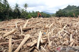 Indonesia in urgent need for better environmental management