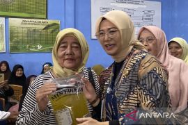 Pangkalpinang jadikan Tua Tunu daerah sentra nanas