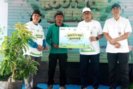 PLN tanam 600 pohon alpukat di hulu DAS Tuntang
