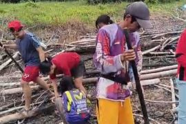DPPP Tana Tidung Maksimalkan Optimalisasi Lahan Sawah 300 Hektare