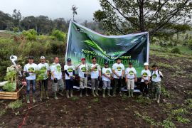 PalmCo masif tanam pohon di 12 provinsi mencegah degradasi lingkungan