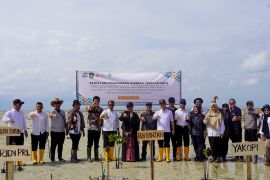 KKP tingkatkan efektifitas tata ruang laut untuk karbon biru