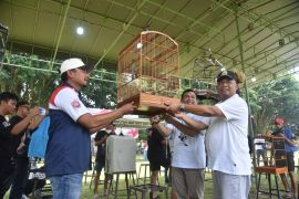 800 pecinta burung kicau DIY Jateng ikuti Festival Kajari Sleman Cup
