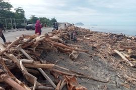 Sampah kayu gelondongan pascabanjir bandang Padang Page 2 Small