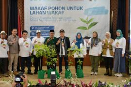 PP Muhammadiyah lakukan penghijauan di lingkungan BPMP Lebak