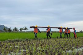 Medan berat tidak menghalangi PLN perkuat jaringan listrik di Pemangkat