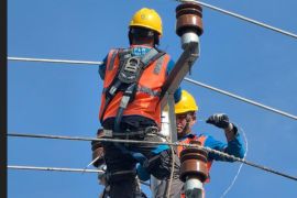 PLN Batam ingatkan masyarakat hindari aktivitas berbahaya di dekat jaringan listrik