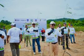 PLN Babel rehabilitasi lahan kritis tanam 12.500 pohon di HMPI 2025