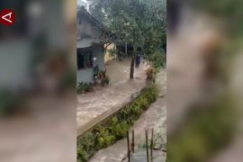 345 bencana terjadi di Temanggung pada Januari&ndash;November