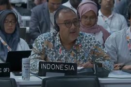 COP30, Indonesia belum sejalan dengan prinsip Belem Gender Action Plan