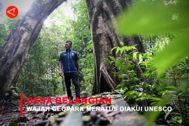 Feature - Desa Belangian, Wajah Geopark Meratus diakui UNESCO Bagian 1