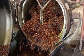 Hilirisasi sawit di Kaltim pacu produksi biodiesel nasional